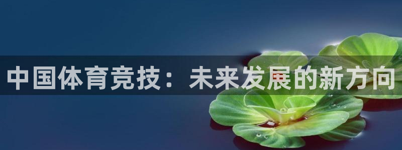 搜球吧直播nba：中国体育竞技：未来发展的新方向