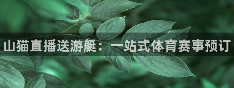搜球吧8直播免费观看：山猫直播送游艇：一站式体育赛事预订