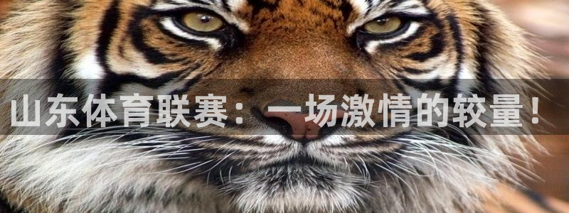 搜球吧 直播：山东体育联赛：一场激情的较量！