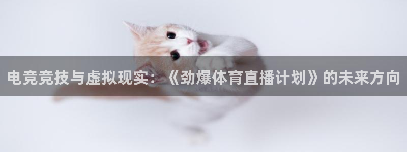 搜球8直播nba直播：电竞竞技与虚拟现实：《劲爆体育直播计划》的未来方向