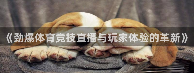 搜球8直播：《劲爆体育竞技直播与玩家体验的革新》