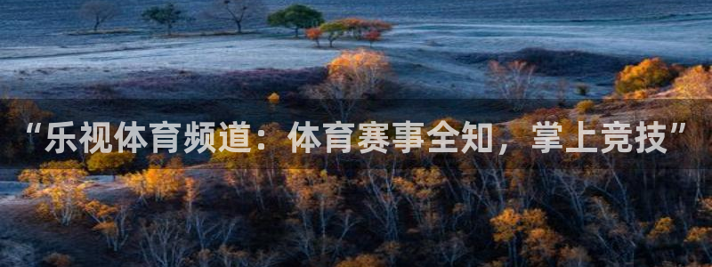 搜球体育官网：“乐视体育频道：体育赛事全知，掌上竞技”
