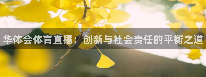 搜球体育下载：华体会体育直播：创新与社会责任的平衡之道