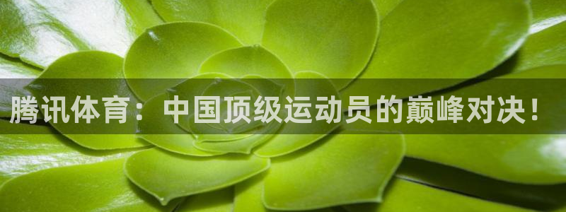 搜球吧手机直播nba直播：腾讯体育：中国顶级运动员的巅峰对决！
