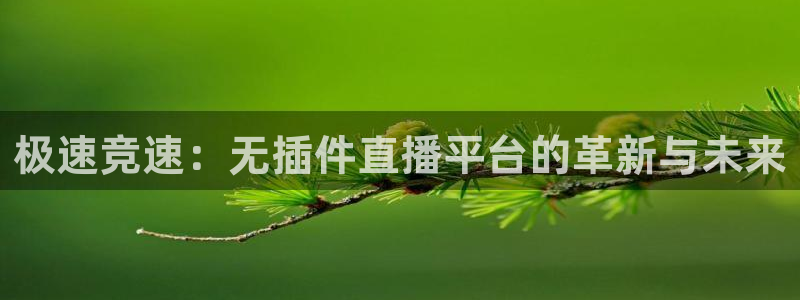 搜球吧直播：极速竞速：无插件直播平台的革新与未来
