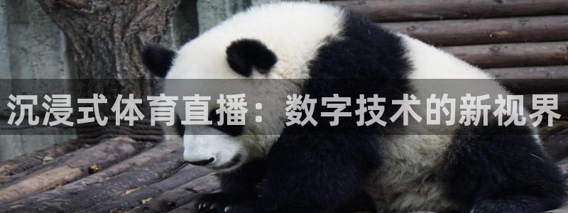 搜球吧零点吧nba直播：沉浸式体育直播：数字技术的新视界